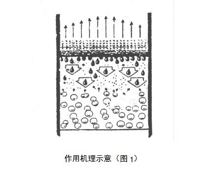 作用机理示意图